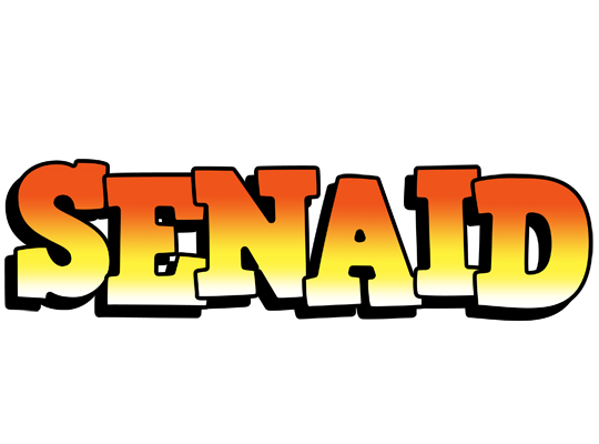 Senaid sunset logo