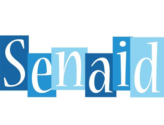 Senaid winter logo