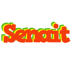 Senait bbq logo