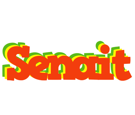 Senait bbq logo