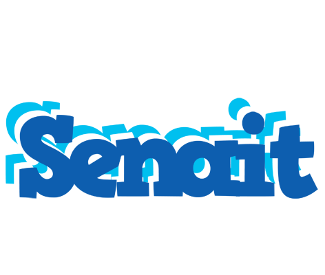 Senait business logo