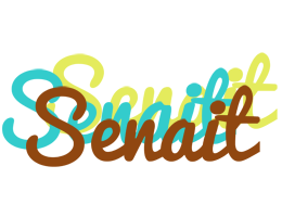Senait cupcake logo