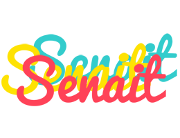 Senait disco logo