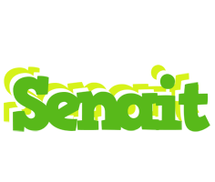 Senait picnic logo