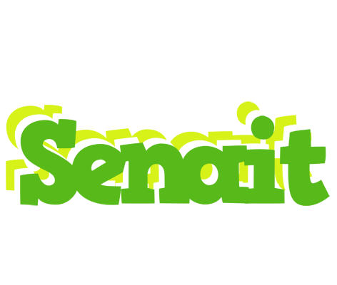 Senait picnic logo