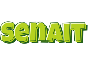 Senait summer logo