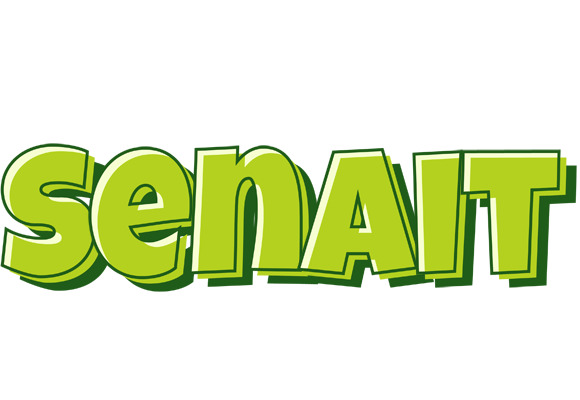 Senait summer logo