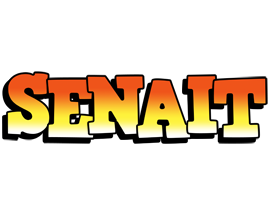 Senait sunset logo