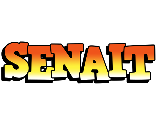 Senait sunset logo