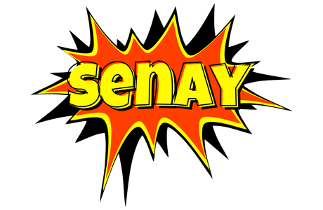 Senay bazinga logo