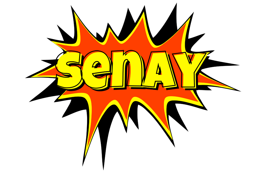 Senay bazinga logo