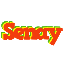 Senay bbq logo