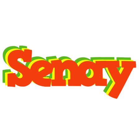 Senay bbq logo