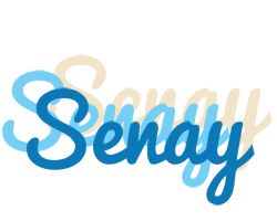 Senay breeze logo