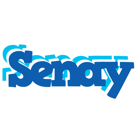 Senay business logo