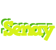 Senay citrus logo