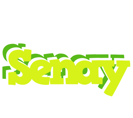 Senay citrus logo