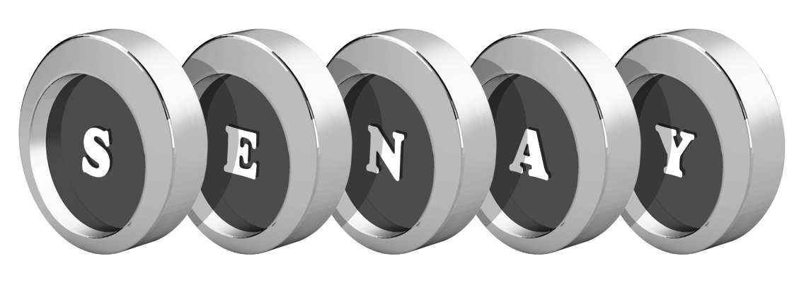 Senay coins logo