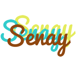 Senay cupcake logo