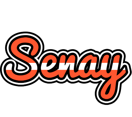 Senay denmark logo