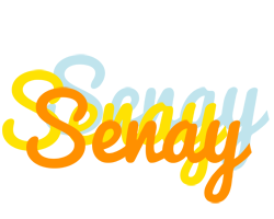 Senay energy logo