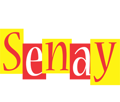 Senay errors logo