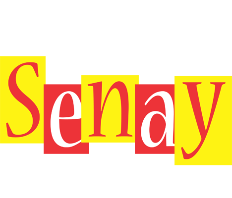 Senay errors logo