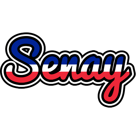 Senay france logo
