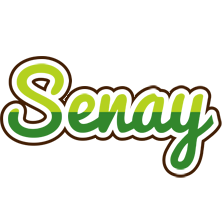 Senay golfing logo