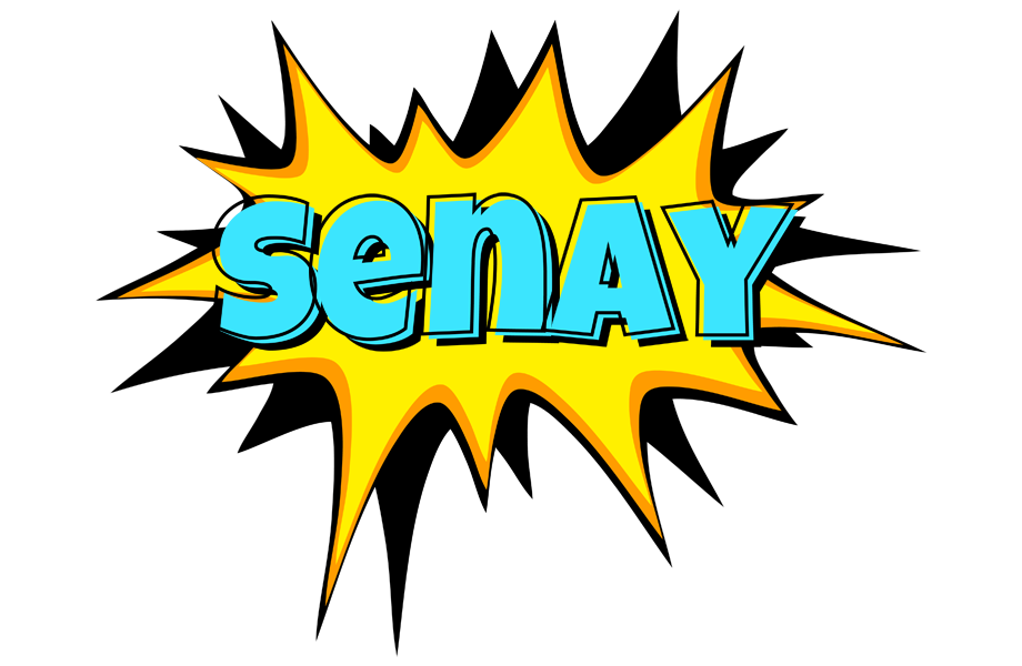 Senay indycar logo