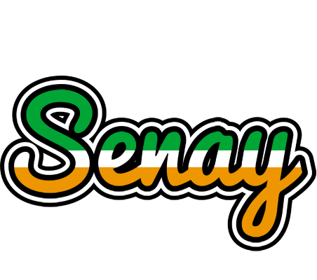 Senay ireland logo