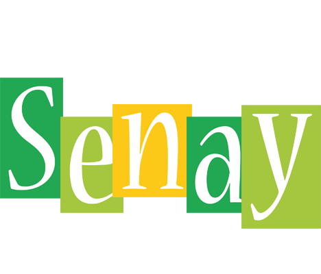 Senay lemonade logo