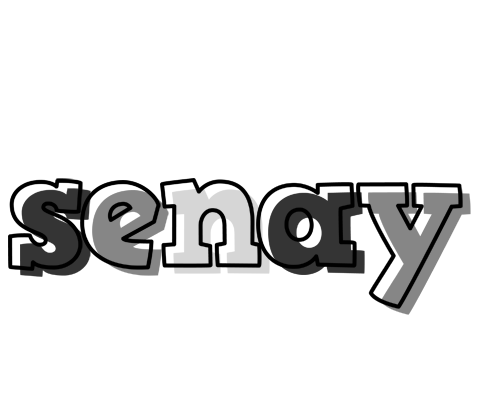 Senay night logo