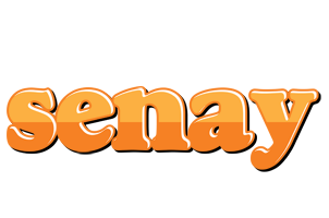 Senay orange logo