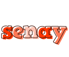 Senay paint logo