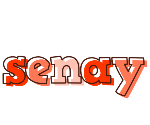 Senay paint logo