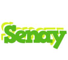 Senay picnic logo