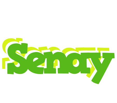 Senay picnic logo