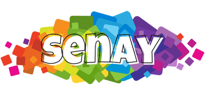 Senay pixels logo