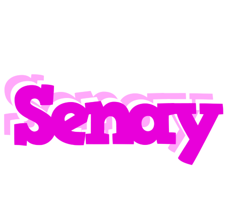 Senay rumba logo