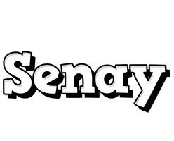 Senay snowing logo