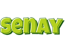 Senay summer logo