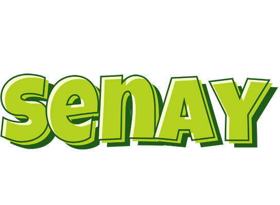 Senay summer logo