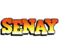 Senay sunset logo