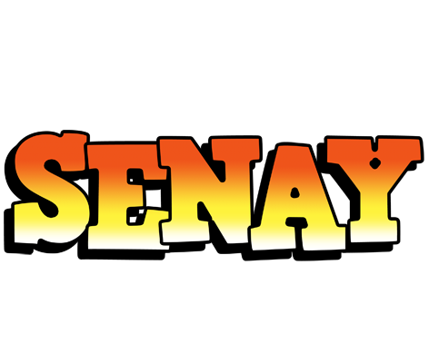 Senay sunset logo