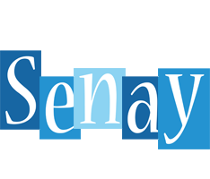 Senay winter logo