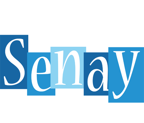 Senay winter logo