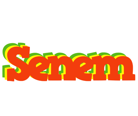 Senem bbq logo