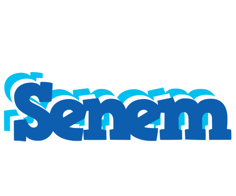 Senem business logo
