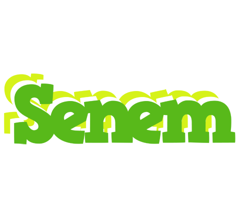 Senem picnic logo